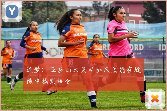 追梦：亚历山大灵活如风总能在缝隙中找到机会