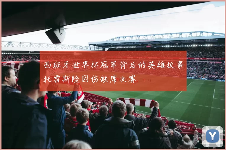 西班牙世界杯冠军背后的英雄故事托雷斯险因伤缺席决赛