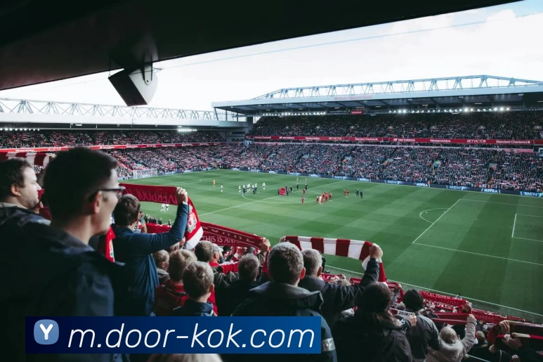 KOK体育发展历程